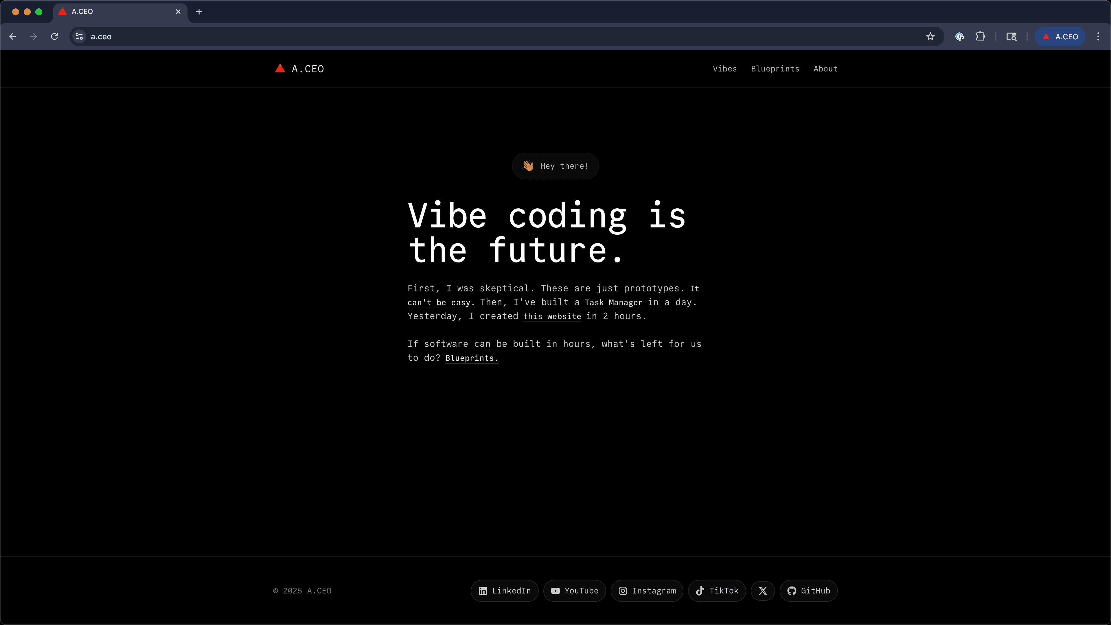 A.CEO Website screenshot